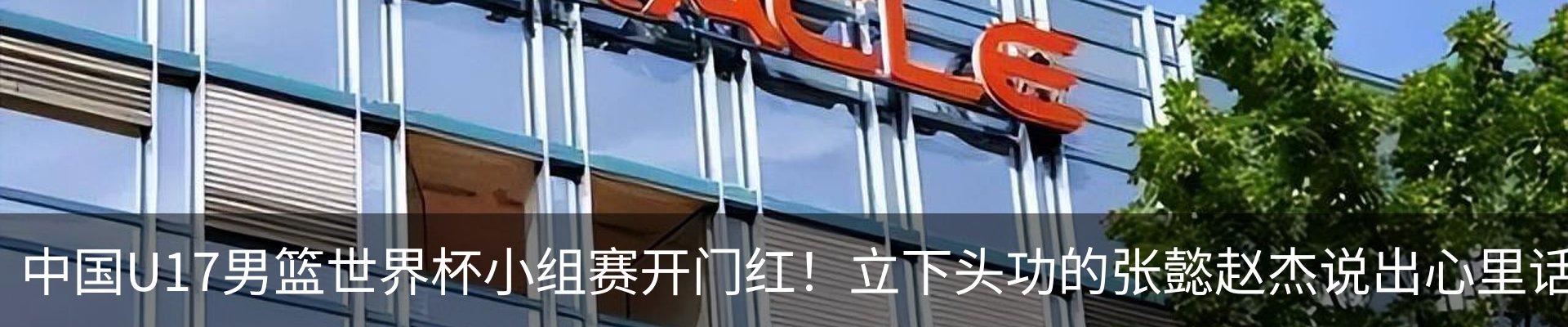 最新动态